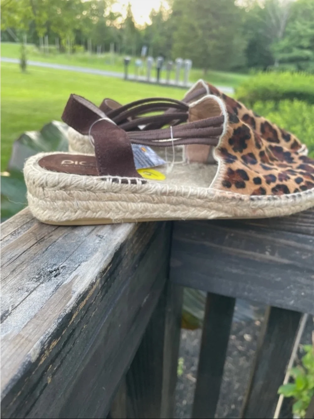 N/A bold leopard